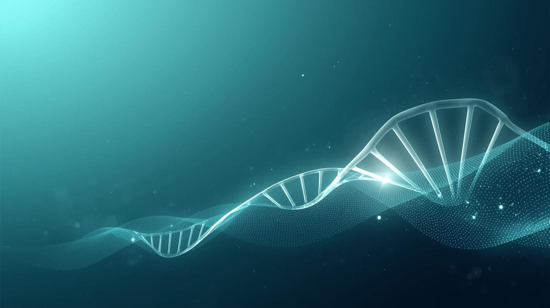 What Is Methylation — and Why It Matters More Than You Think