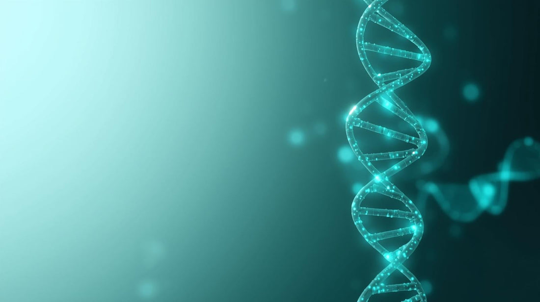 MTHFR Explained — What It Means and How to Support It Naturally