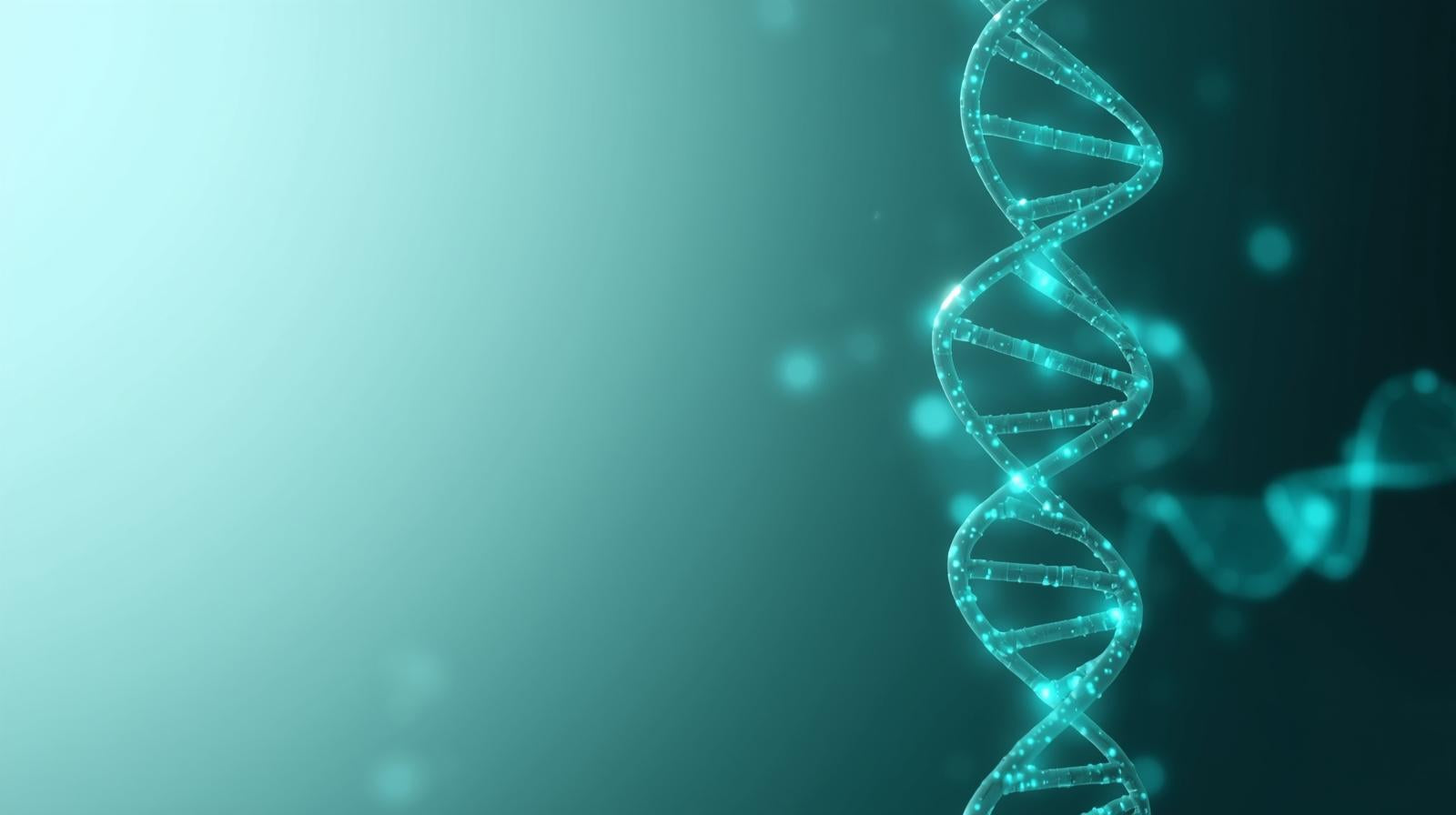 MTHFR Explained — What It Means and How to Support It Naturally