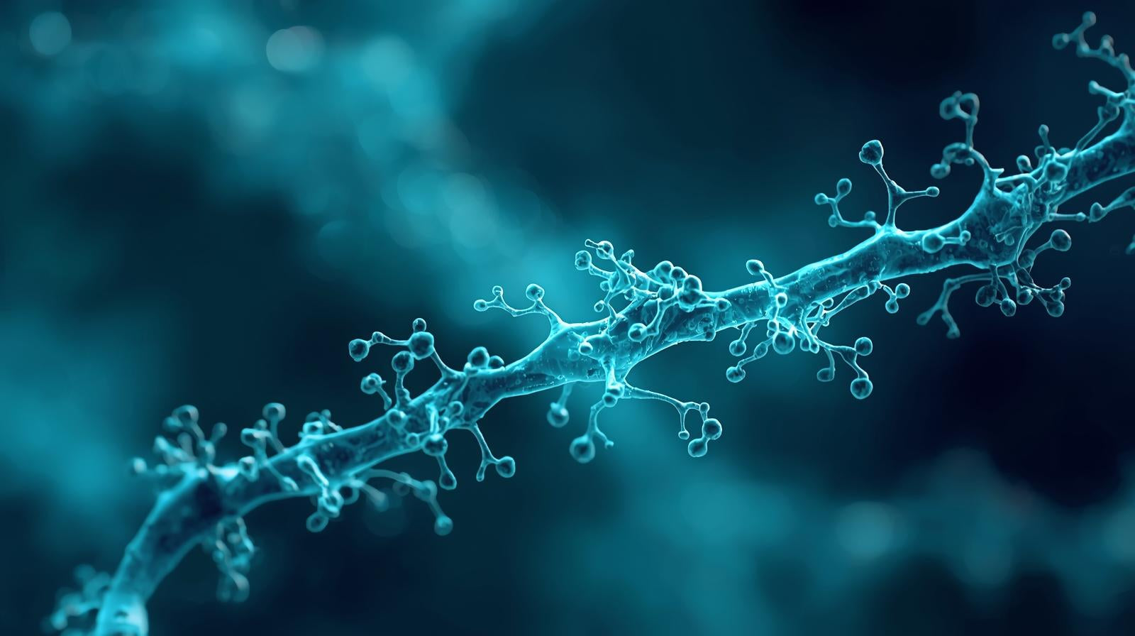 Methylation and Recovery — The Cellular Science of Repair and Resilience