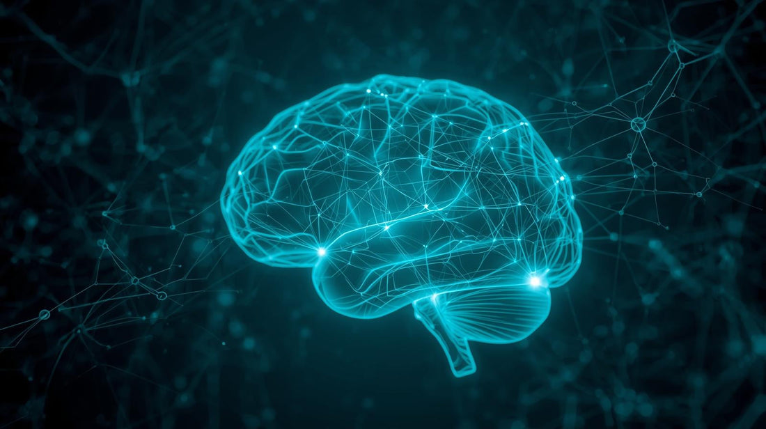 Methylation and Brain Health — The Link Between Focus, Memory, and Neuroprotection