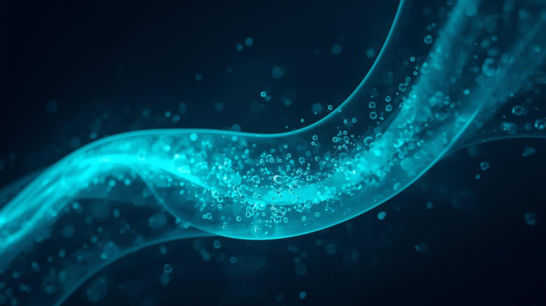 The Science of Absorption — Why Bioavailability Determines How You Feel