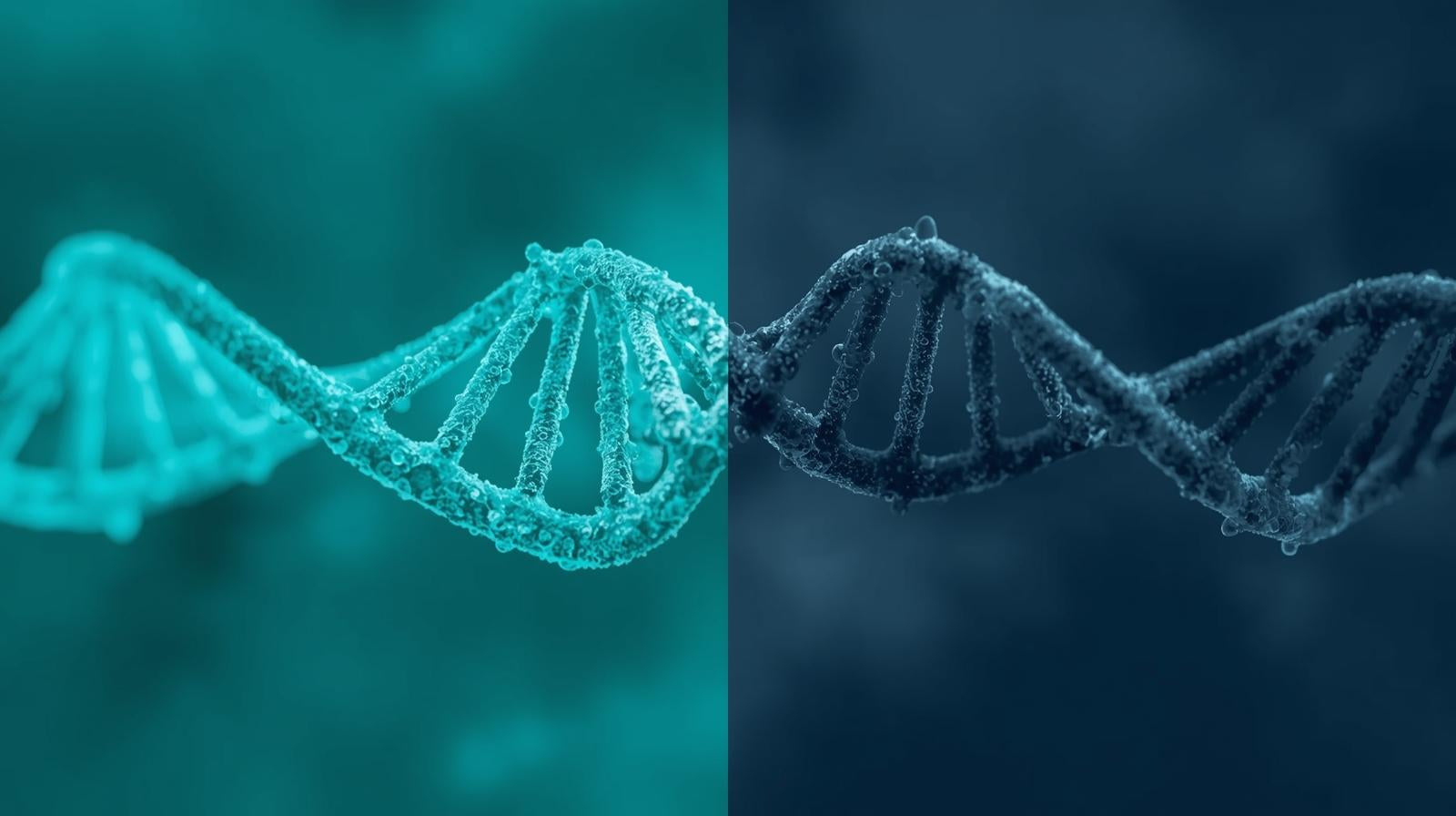 Methylated Vitamins vs. Non-Methylated Vitamins: What’s the Difference?